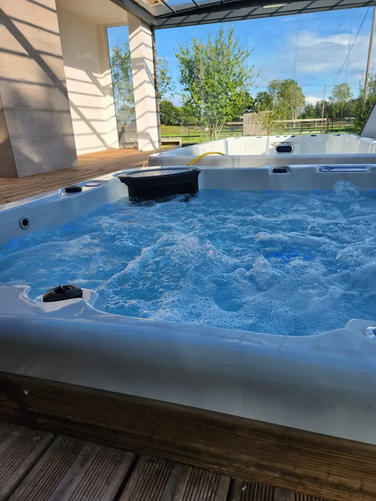 Maison avec jaccuzzi à La Ferté-en-Ouche